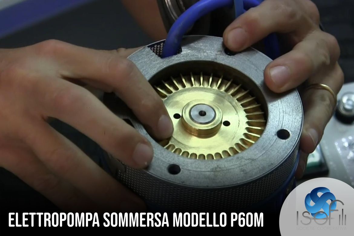 Elettropompa sommersa Green elettropompe Modello P60M  Blog IsoFili Soc.  Coop. - elettropompe, motori elettrici e componentistica elettromeccanica,  Palermo, Sicilia